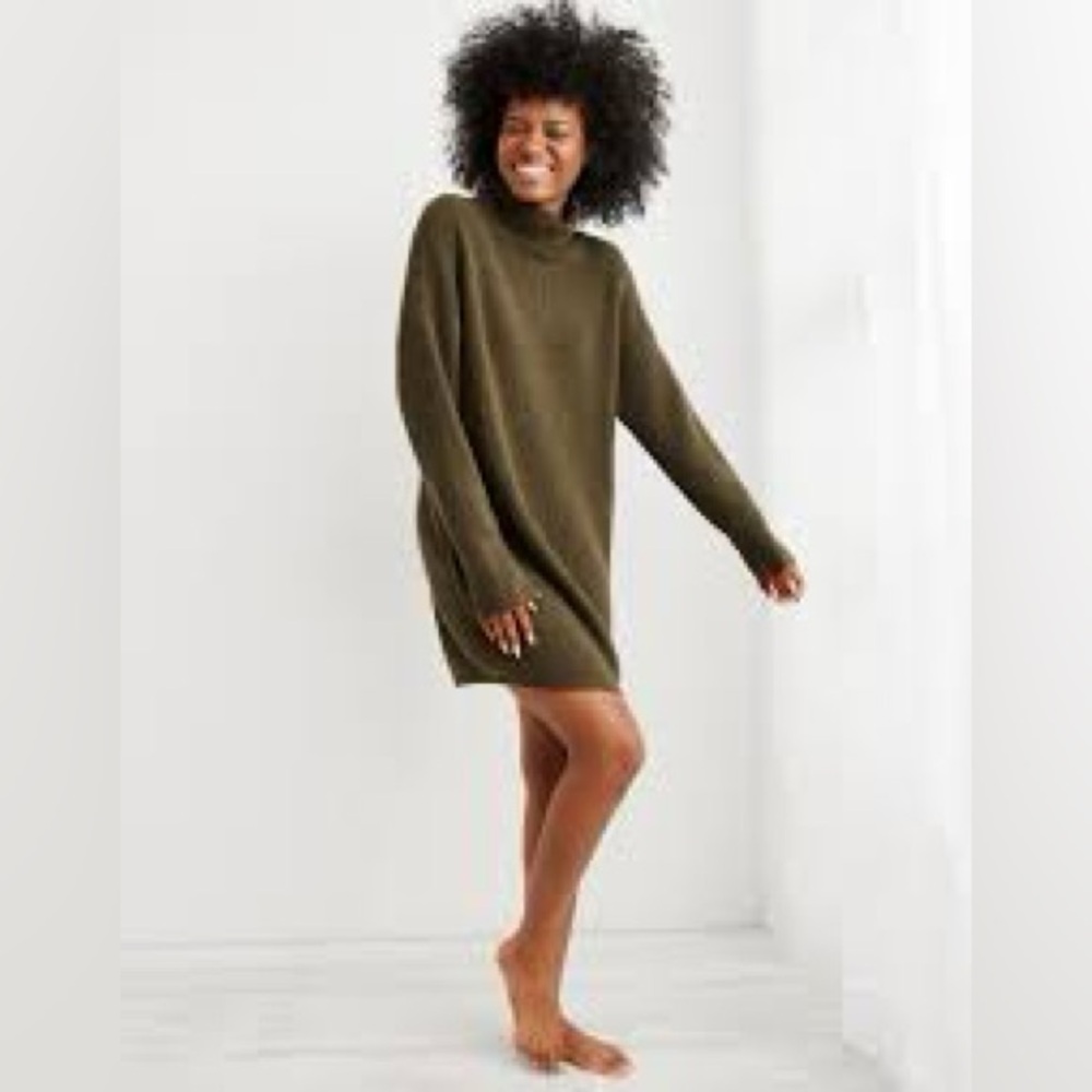 Aritzia Wilfred Montpelier Sweater Dress